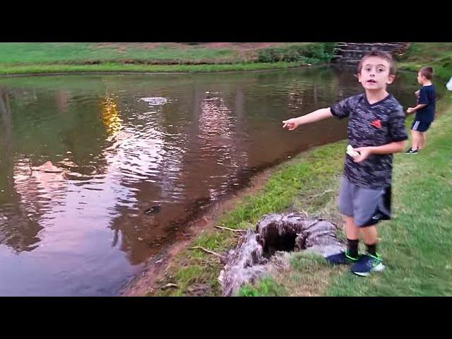 Kids Feeding the Catfish & Turtles with Dad & Grandpa