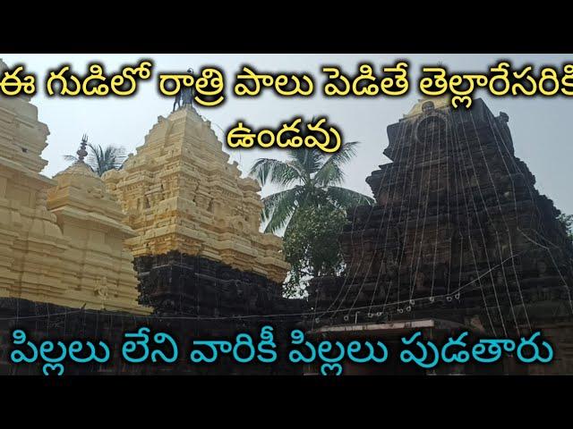 Bikkavolu Subramanya Swamy Temple 2022 || East Godawari Temples || Usha House