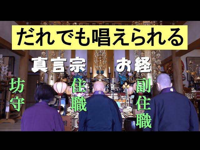 【真言宗お経】仏前勤行次第〜住職/副住職/坊守による読経 高野山真言宗紫雲寺本堂にて