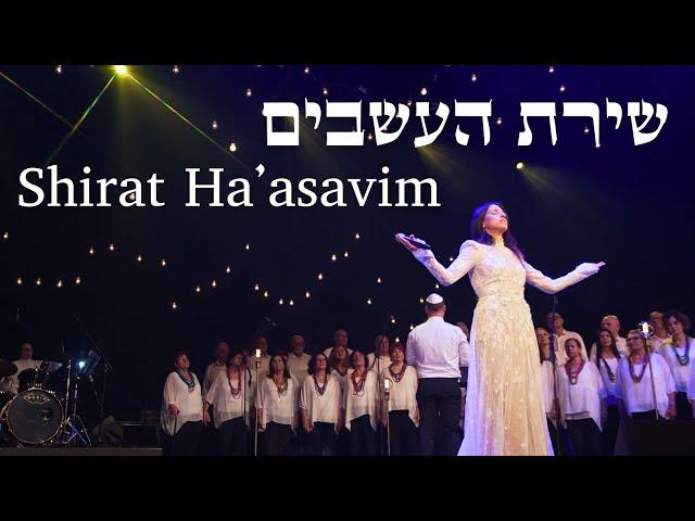 שירת העשבים - הילה בן דוד | SHIRAT HA'ASAVIM - Hila Ben David (HALO) | Live Concert 2024