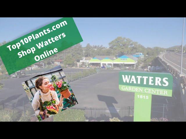 Virus forces Watters Garden Center to launch Digital Nursery @ Top10Plants.com