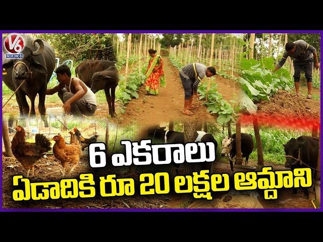 New Farming Techniques | Organic Vegetable Farming In Thimmaipally | Siddipet District | V6 News