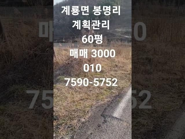 공주시 계룡면 봉명리  계획관리 60펭 매매 3000    매물번호 269 #공주시토지