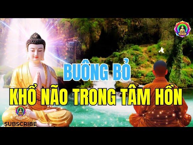 Buông Bỏ và Thanh Tịnh: Bí Quyết Đoạn Trừ Khổ Não Trong Tâm Hồn