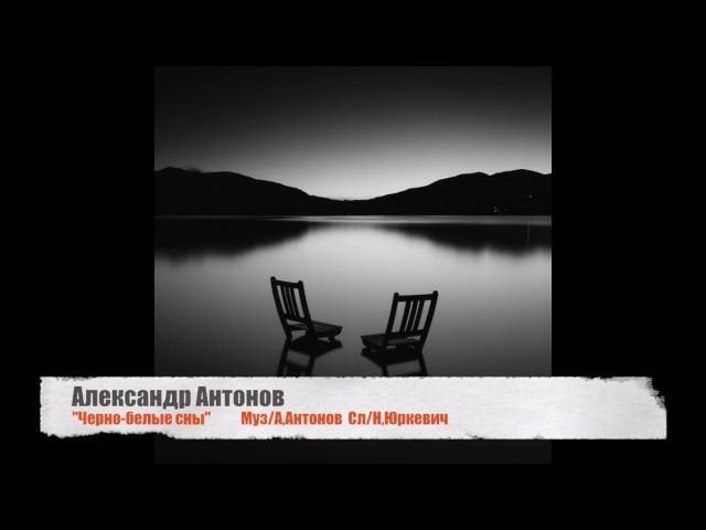 Александр Антонов "Черно-белые сны"