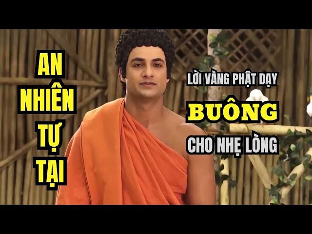 20 Lời Dạy Đức Phật Giúp Bạn Biết Cách Buông Xả