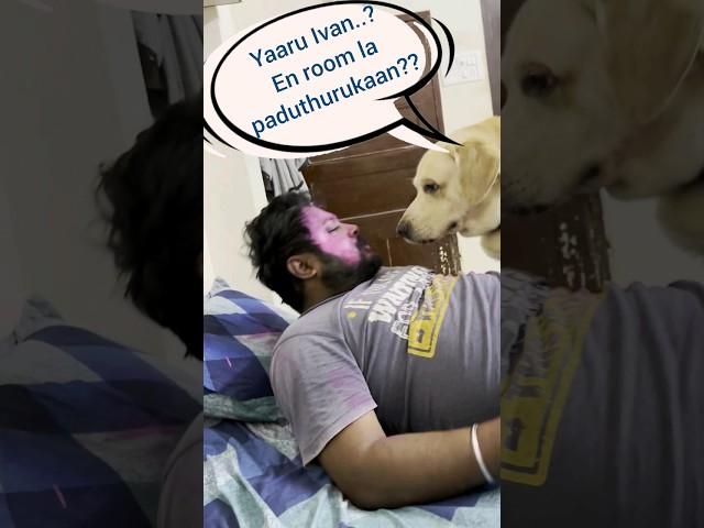 Daddy ya Adaiyalam theriyala......#chottu#dogs  #dogfunnyvideos#petanimals   #trending#funnyvideos