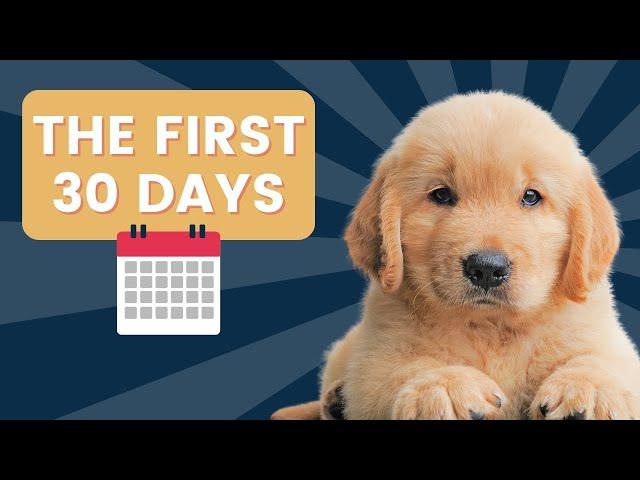 The First 30 Days: A Day-by-Day Guide to Your New Puppy