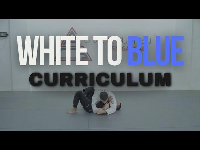 White to blue belt curriculum (Gracie Jiu-Jitsu Singapore)