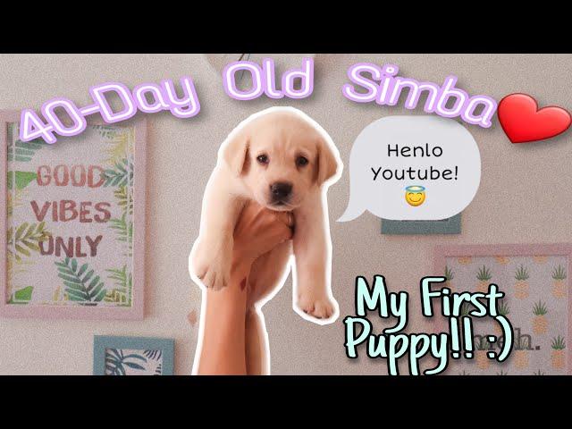 The Day I Got My FIRST Puppy...  ️ VLOG | *CUTENESS OVERLOAD* | Neha Baid