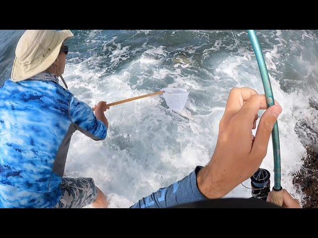 Hawaii Surf Fishing | Personal Best Kala (Bluespine Unicornfish)