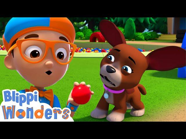 Blippi Plays Ball with Dogs! | Blippi Wonders Animated Adventures for Kids | Moonbug Kids