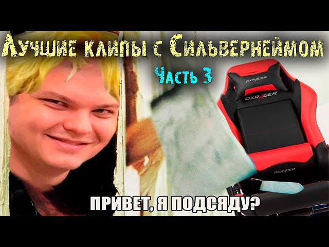 Лучшие клипы с Сильвернеймом за год | Часть 3 | SilverName Heartstone