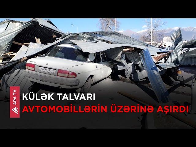 Güclü külək Qəbələdə fəsadlara səbəb oldu – APA TV