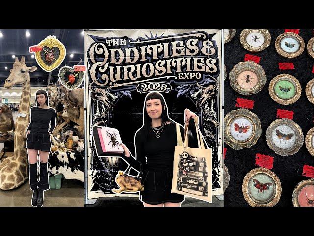 Oddities and Curiosities Expo 2025 | huge haul, taxidermy classes, and spooky vendors