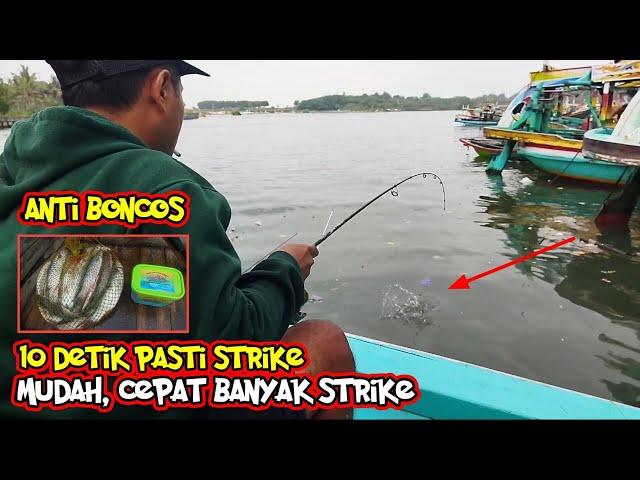 TEHNIK TERCEPAT MANCING IKAN BELANAK || SAMPAI KEWALAHAN