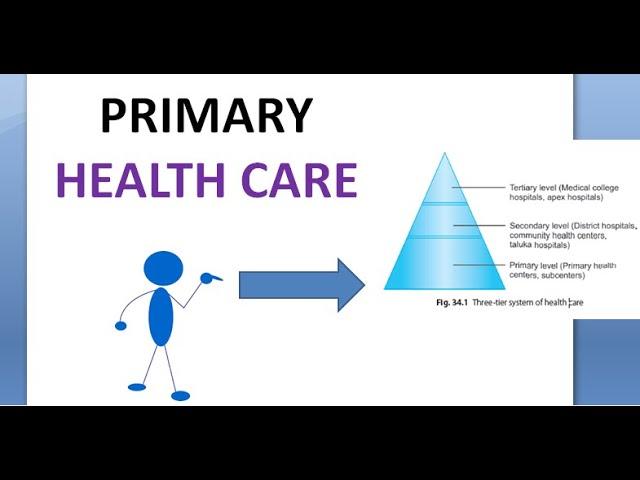 PSM 931 Primary Health Care Level attributes Elements Components Principles Definition