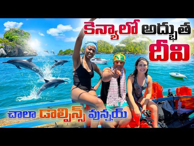 Wasini island dolphin tour kenya