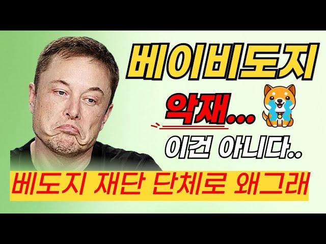 베이비도지코인 악재? 아니, 초대형 호재봐야죠 #머스크 #시바이누 #베이비도지 #페페 #플로키 #봉크 #도그위햇 #트럼프코인