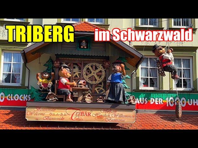 Ein Tag in unsere schönster Urlaub in Triberg im Schwarzwald in Deutschland