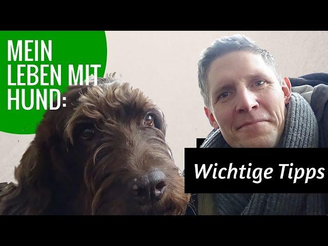 Mein Leben mit Hund: Wichtige Tipps für Hundebesitzer!