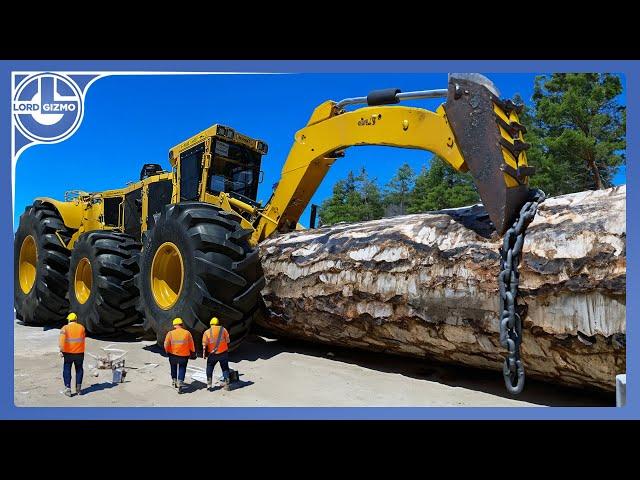 Our Top Selection Of The WORLD'S Most Powerful FORESTRY Equipment AND Machines You NEED To See