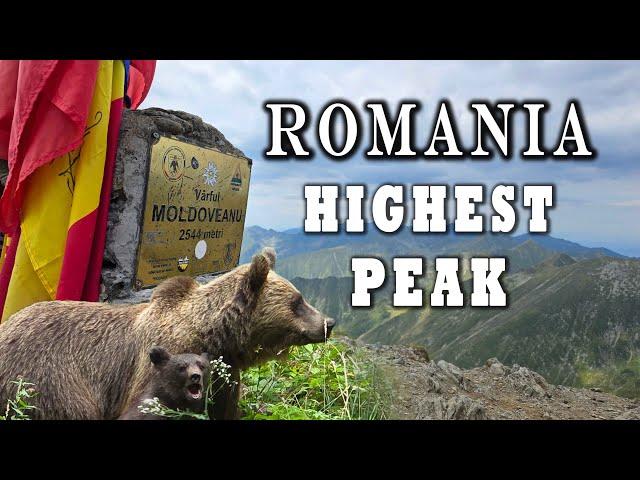 Trail Run To Romania's Highest Peak | Transfagarasan To Varful Moldoveanu | 2544m | 4k Experience