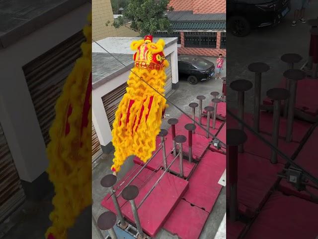 Lion Dance Daily Training️‍️#funny #liondance #dance