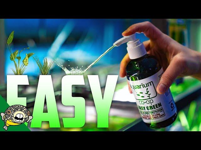 The EASIEST Aquarium Fertilizer on the Market! Easy Green.