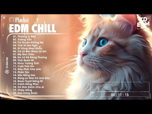 Một Chút EDM Chill Thư Giản Sau Ngày Dài Mệt Mỏi  Top 20 Bản Nhạc EDM Gây Nghiện HOT TikTok 2024