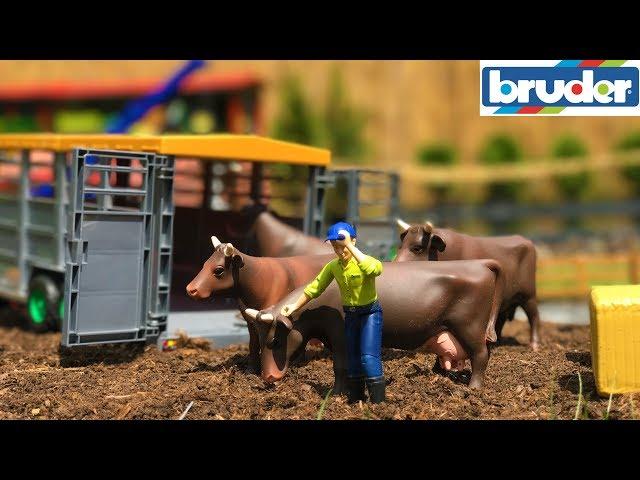 BRUDER TOYS RC truck and tractor COWS transport! Unique rc trailer for animal transport!