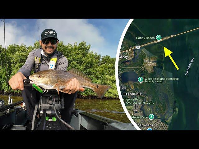 How to Fish the Gandy Bridge & Weedon Island Flats | Tampa Bay Kayak Fishing