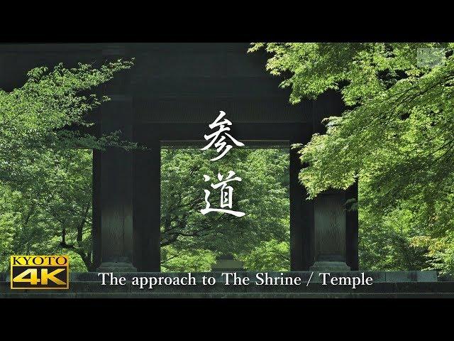 [4K] The approach to the Shrine / Temple Kyoto　[4K] 京都の参道　庭園　神社