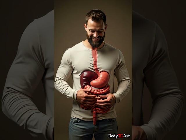 Digestive System Animation | Human Anatomy 60 #humanbody