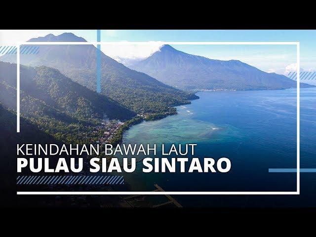 VIDEO TRAVEL | Sitaro Destinasi Wisata Eksotis, Menyimpan Sejuta Keindahan Alam Bawah Laut