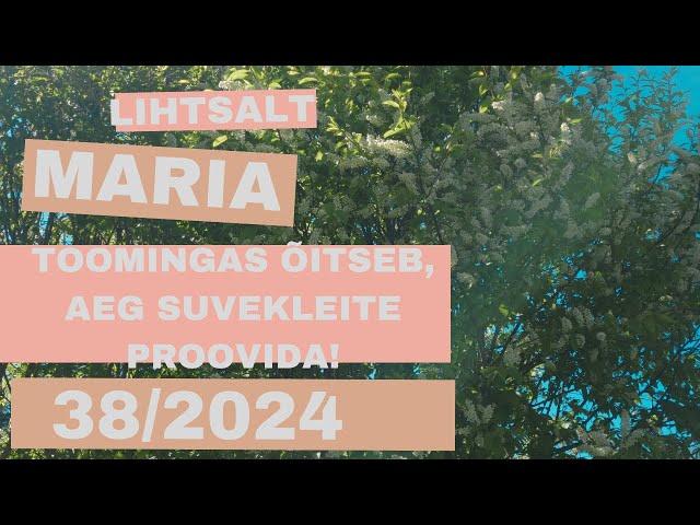 #38 Aeg suvekleite selga proovida! | LIHTSALT MARIA