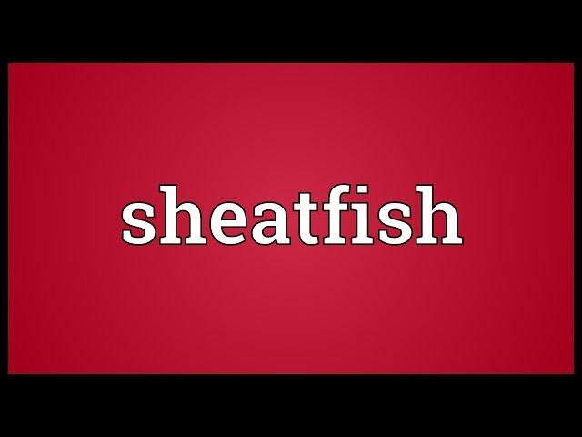 Sheatfish Meaning