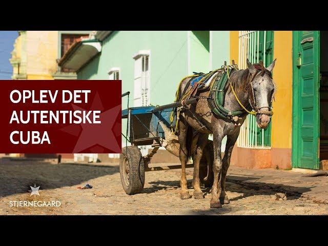 Cuba rejser - Oplev det autentiske Cuba | Stjernegaard