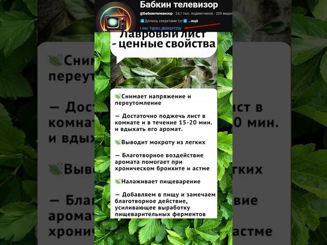 #здоровье #полезныесоветы #духовность #смыслжизни #мудрость