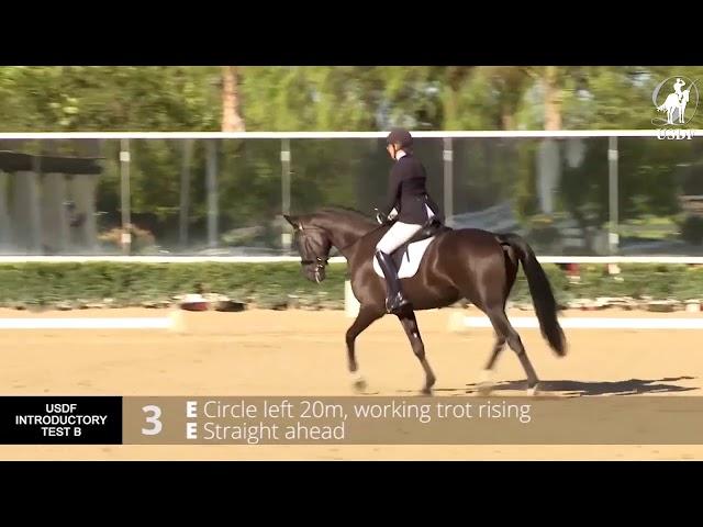 USDF Introductory Test B with Lilo Fore