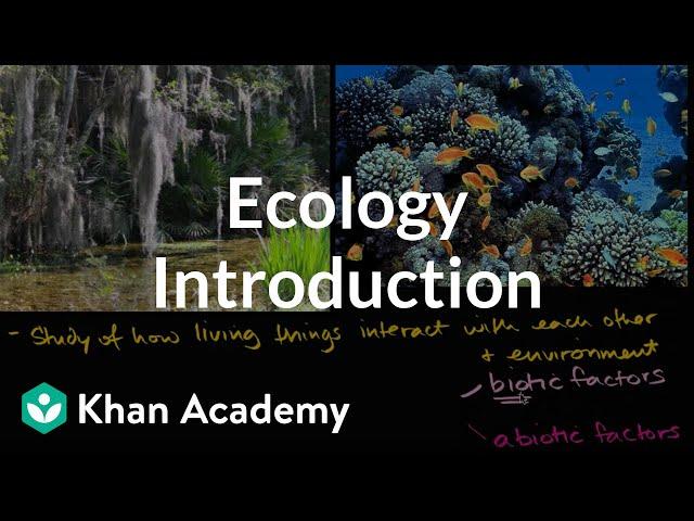 Ecology introduction | Ecology | Khan Academy