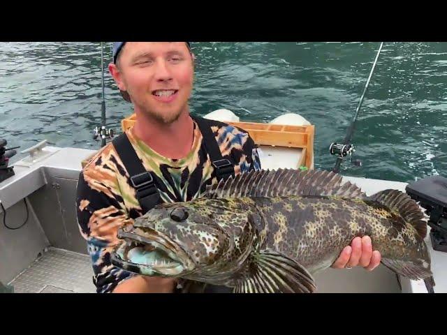 Line Peeling Fishing in Alaska for Big Fish! Halibut, Lingcod and Salmon Catching