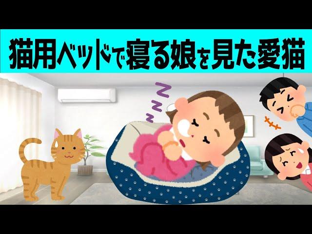 【2chほのぼの】娘に専用ベッドを奪われた時の愛猫のリアクションが可愛すぎたwww