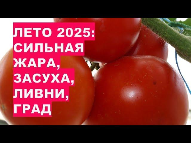 КАКОЙ ПОГОДЫ ЖДАТЬ ОТ ЛЕТА 2025? ОЧЕНЬ ЖАРКИЙ ПРОГНОЗ!