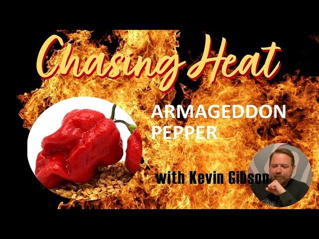 Armageddon Pepper Challenge Time |  Chasing Heat