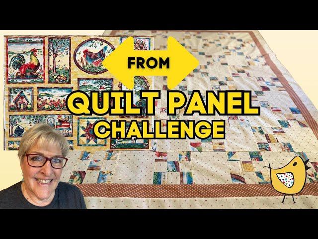 What I Did With this Quilt Panel