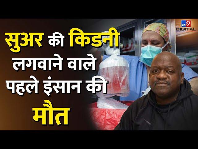 Pig Kidney Transplant करवाने वाले पहले इंसान Richard Slayman की मौत | #tv9d