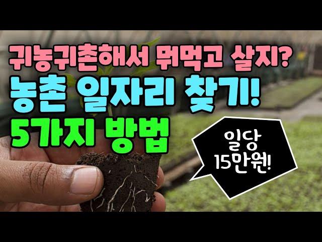 농촌 일자리 찾기! 5가지 방법, 귀농귀촌해서 뭐먹고 살지?, 농촌에서 직업 찾기 5가지 방법, 시골에서 돈버는법, 귀농귀촌, 전원주택, 전원생활, 귀촌부부, 청년농부