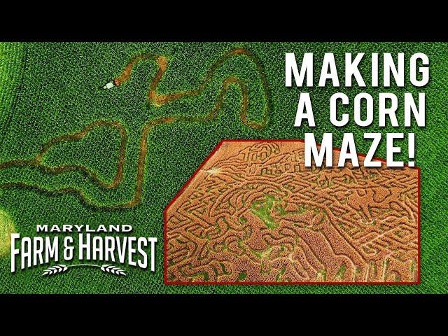 How to Make a Corn Maze! | Maryland Farm & Harvest