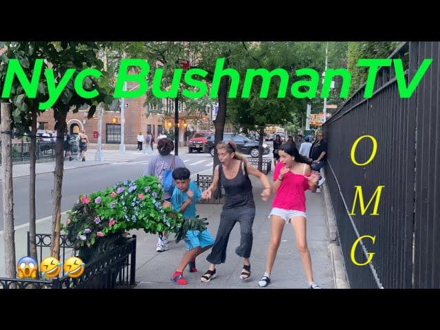 Couldn’t believe what they saw Bushman prank reactions